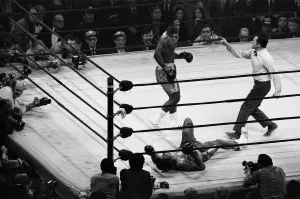The Fight of the Century (also known as The Fight) is the title boxing writers