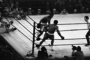 The Fight of the Century (also known as The Fight) is the title boxing writers