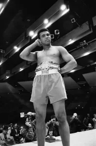 The Fight of the Century (also known as The Fight) is the title boxing writers