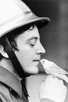 Budgerigar Prints: Fireman Ken Markell who gave kiss of life to budgie 1988