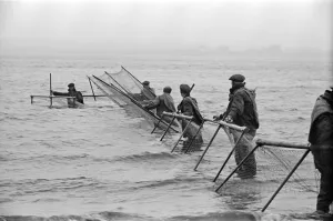 Cumbria Prints: Fishermen fishing in the sea in Solway. The Solway Firth is a firth that forms part of