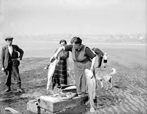 Fisherman Prints: Fisherwomen of New Biggin, England inspect their catch Women fulfilling Mens work
