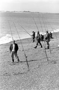 Fishing / Fisherman / Fishermen Sport / Outdoor: 2000 anglers fish from Folkestone Beaches