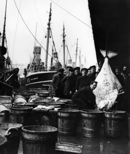 Stalls Prints: Fishing Industry at Hull. A fish market St Andrews Dock. April 1937