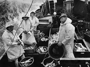 Waves Prints: Fishing Industry. Skipper Pashhby with his crew aboard the Elizabeth