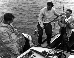 Fishing - Shark - Mr Gerwyn Jenkins (left) and Mr John Wickland haul a blue shark over
