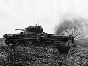Sherman Tank Prints: Flail Tank in Normandy 1944 The Flail tank consists of a chassis fitted with a