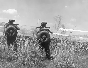 Flamethrowers of the British army go forward to rout out Japanese foxholeson the road to