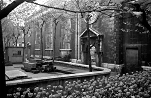 Flowers growing amongst the bomb damaged St Brides Church in Fleet Street, London