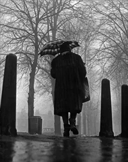 Trees Prints: Foggy Day in New Square, Cambridge 15th November 1964