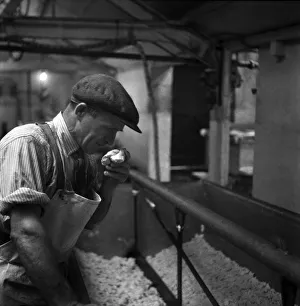 Food, cheese. Jack Wilding, head cheesemaker at Minsterley Creameries