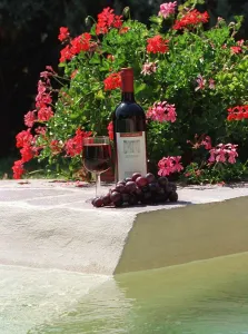 Wine Prints: Food and Drink Bottle of Italian Red Wine from Umbria with Grapes and Glass