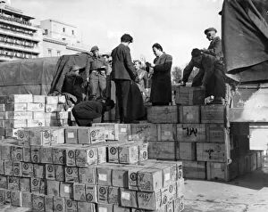 Volunteers Prints: Food supplies which were interrupted for a time in the early days of the fighting are