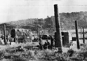 01437 Collection: Twenty foot poles put in the ground by the enemy and scattered over Southern France