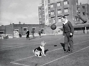 00228 Prints: Football Freddie Steele ( Port Vale ) ex Mansfield Manager seen here