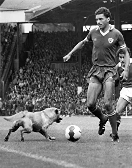 Football unusual: Leicesters Larry May duals for the ball with a dog that strayed