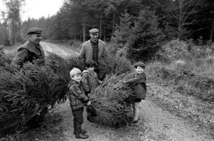 Forestry Commission employees - brothers Eill and Charlie Kitcher (Leather Jerkin