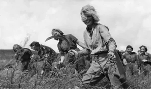 01467 Prints: The Forestry Commission of Scotland requested Scottish University students to volunteer