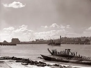 00132 Prints: A Fraserburgh Herring boat returns to port escorted by a squadron of sea gulls