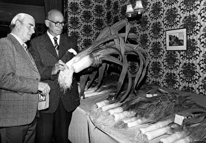 Vegetables Prints: Fred Edwards, left, and Bill Bell judge the leeks during a gardening show held