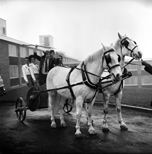 Freddie Trueman with Saxon helmet and spear urging the horses and chariot to get going