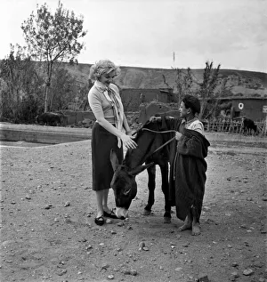 Arabic Prints: A French actress meets a local boy and his donkey in the countryside of Morocco December