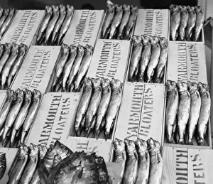 Norfolk Prints: Freshly caught and lightly salted and smoked herring known as Yarmouth Bloaters