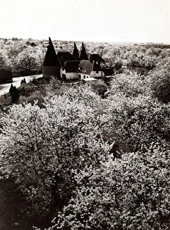 00157 Prints: Fruit Blossom in Kent, Britain - Seasons - Spring trees house