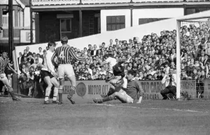 Fulham 1 v. Stoke 1. 1966 League campaign 2nd May 1966 Stoke goalkeeper