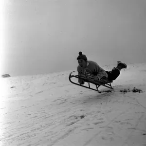 Sleighs Prints: Fun riding a sledge downhill on in the snow on the slopes of Lyme Park in Disley Cheshire