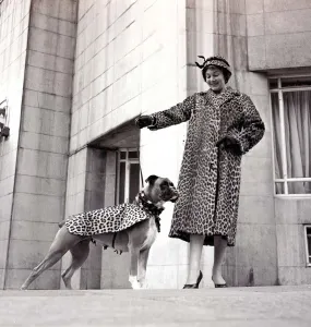 Fur coats for dogs - lady and her boxer dog wearing matching fur coats September
