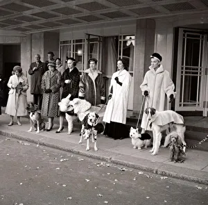 Matching Prints: Fur coats for dogs with owners walking - dogs and their lady owners wearing matching fur