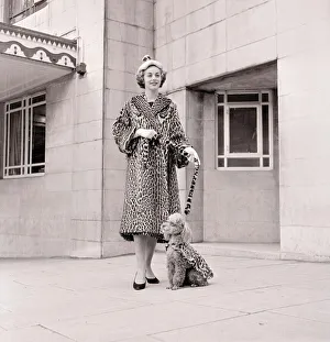 Fur coats for dogs - poodle and owner wearing matching fur coats September 1957