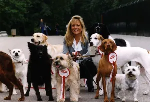 00126 Prints: Gaby Roslin TV Presenter with dogs who feature on the 1994 Prime dog food calendar in