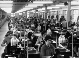 Production Line Prints: General picture of a Civil service office where girls operate machines that record names