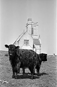 General scenes on Lundy Island. Lundy is the largest island in the Bristol Channel