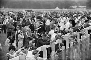Sporting Collection: General scenes at Royal Ascot. 14th June 1966