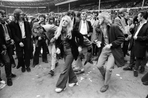 Dance Prints: A general view of the audience at the London Rock and Roll Show at Wembley Stadium