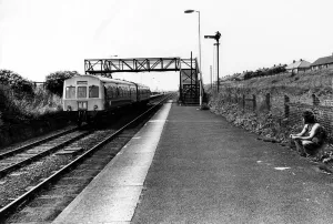 A general view of Boldon Colliery Railway Station on 30th June 1976
