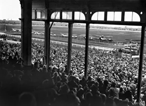 A general view of the crowd who welcomes pilot Miss Amy Johnson at Geelong in Victoria
