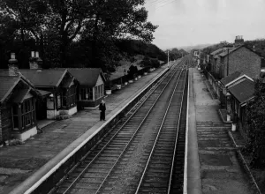 Tracks Prints: A general view of the disused Lintz Green Railway Station on the Newcastle to Consett