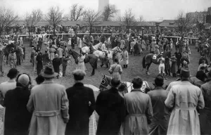 00059 Prints: A general view of the paddock before the horses took the field at the Grand national race