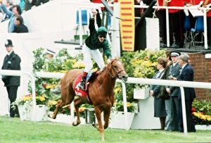 Images Dated 5th June 1991: Generous racehorse winning the Derby at Epsom - June 1991