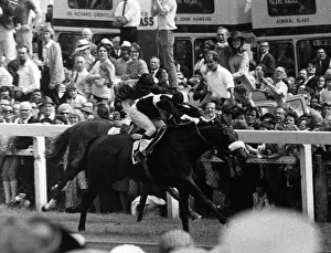 Jockey Prints: Geoff Lewis jockey on Mill Reef wins The Derby from Linden Tree at Epsom - June 1971
