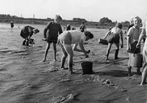 A German woman wears shorts for her work as they recover coal from the River Elbe
