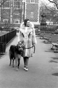 Girl and Dog in Curlers. Model Victoria Burgyne and Irish Wolf Hound Jasper