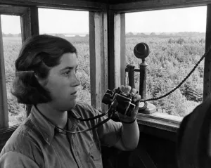 Girl fireguard of twelve million trees. From the top of a 55ft fire watch tower in