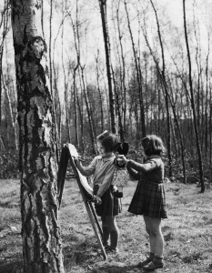 Woods Prints: Two girls drawing with crayons and playing with their dolls as they attend their nursery