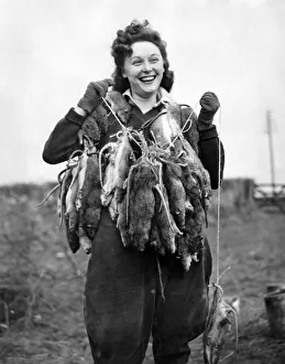 Girls of the Womens Land Army (Pests Department) are employed in S