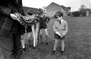 Reptiles Prints: After giving the children at Wellgreen Primary School, Hale, a lecture on wild animals